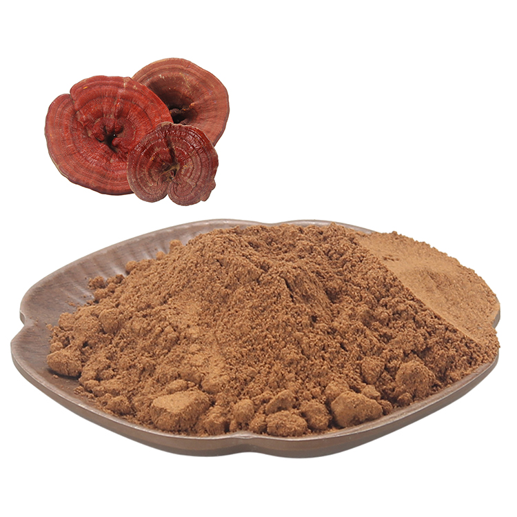Get Ganoderma Lucidum Extract Powder High Potency - Boost Vitality Naturally
